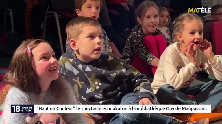 CULTURE : « Haut en couleur » le spectacle en makaton à la médiathèque ...